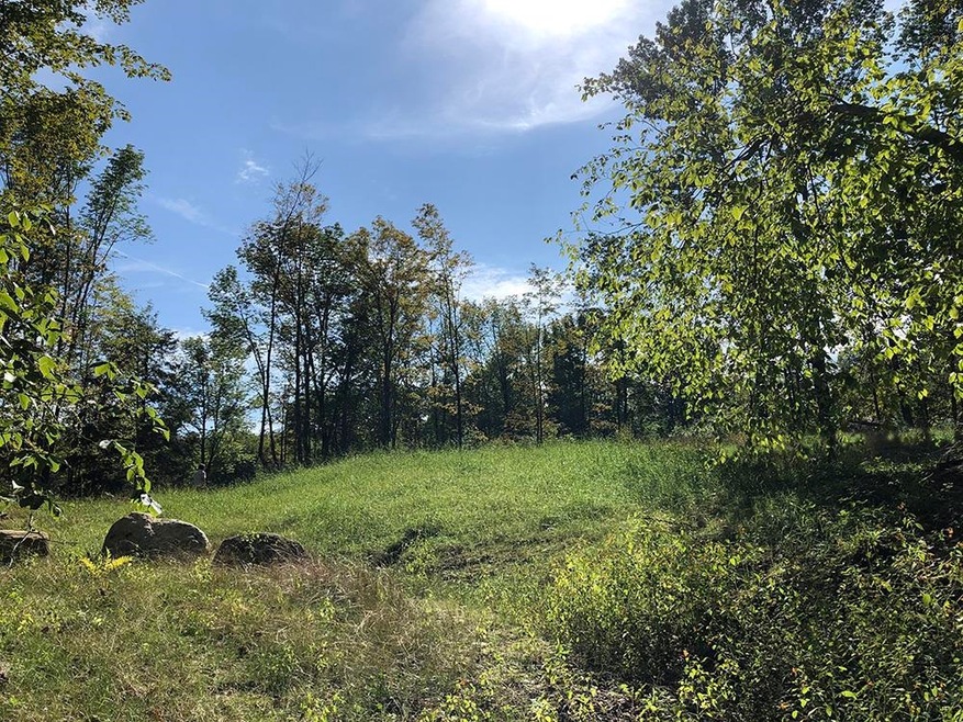 111 Gib Lockerby Rd, Grafton, VT 05146 - photo 1