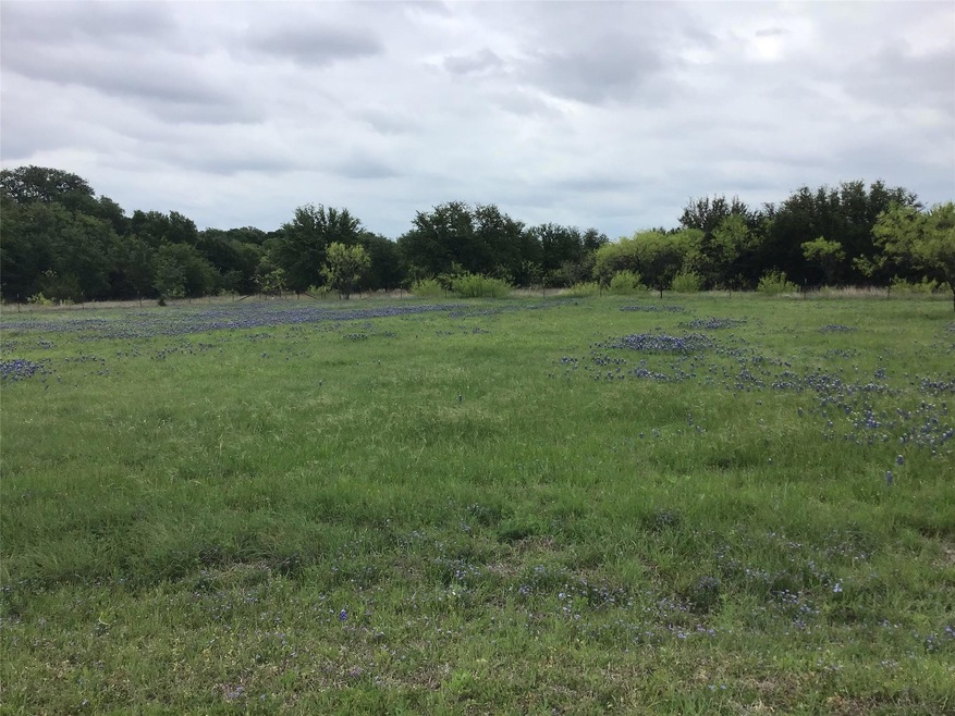 20011 Misty Valley Cir, Whitney, TX 76692 - photo 1