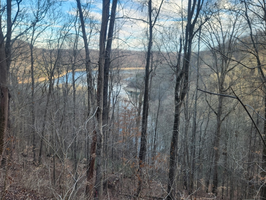 1 Antler Dr, Smithville, TN 37166 - photo 1