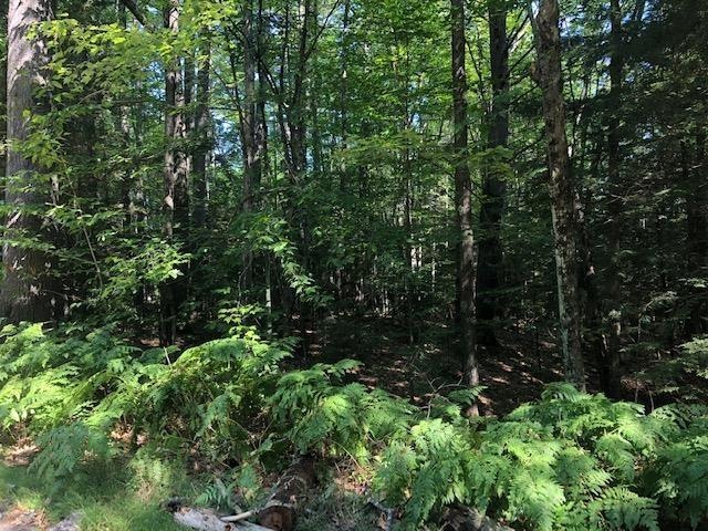 52 Beech River Cir, Center Ossipee, NH 03814 - photo 1