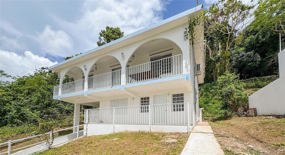 181 Bo Jagual, Gurabo, PR 00778 - photo 1