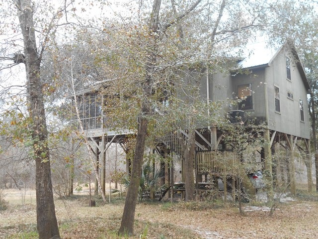Main View