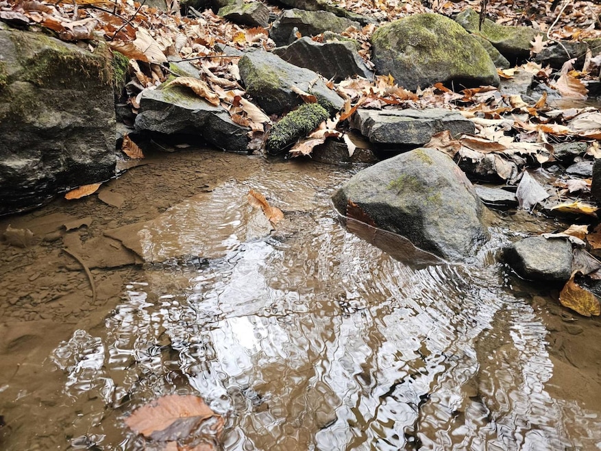 0 Black Oak Rd, Rock, WV 24747 - photo 1