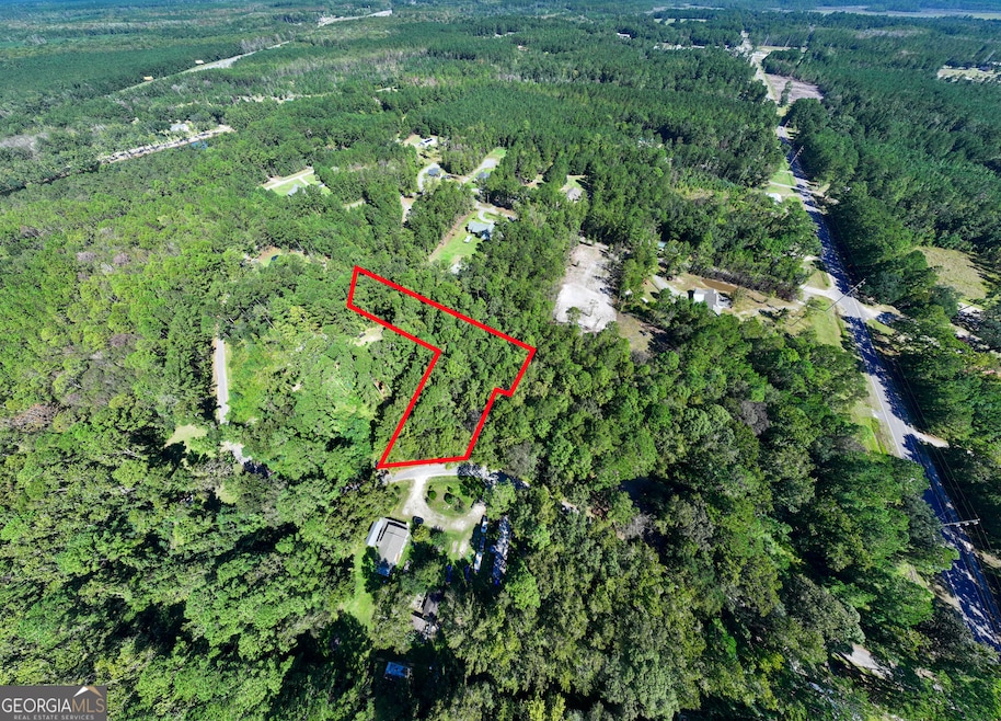 3 ACRES Lewis Ln SW, Eulonia, GA 31331 - photo 1