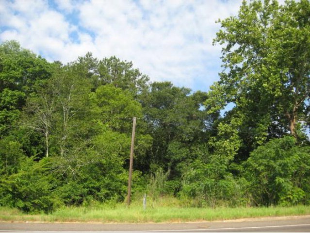 Lot 3F B Old Tyler Rd, Nacogdoches, TX 75961 - photo 1
