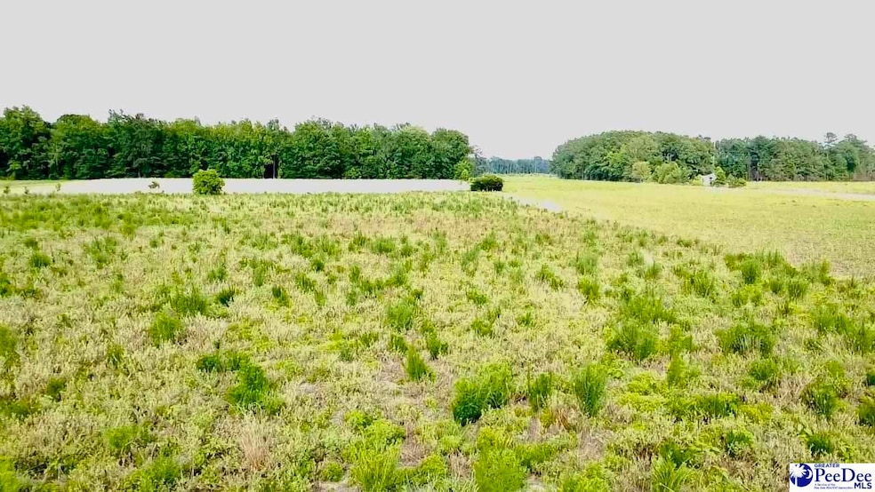 1914 N Old Georgetown Rd, Scranton, SC 29591 - photo 1