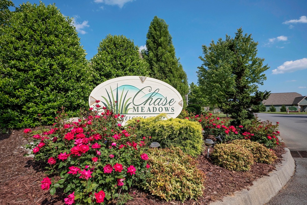 chase-meadows-photos-1