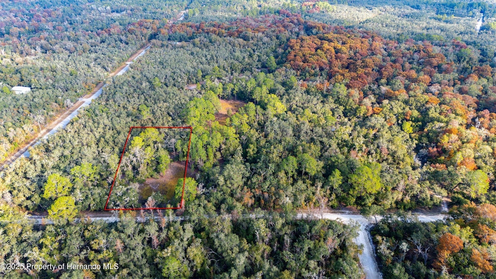 0 Rose Bloom Lot 7 Ave unit 2256782, Webster, FL 33597 - photo 1