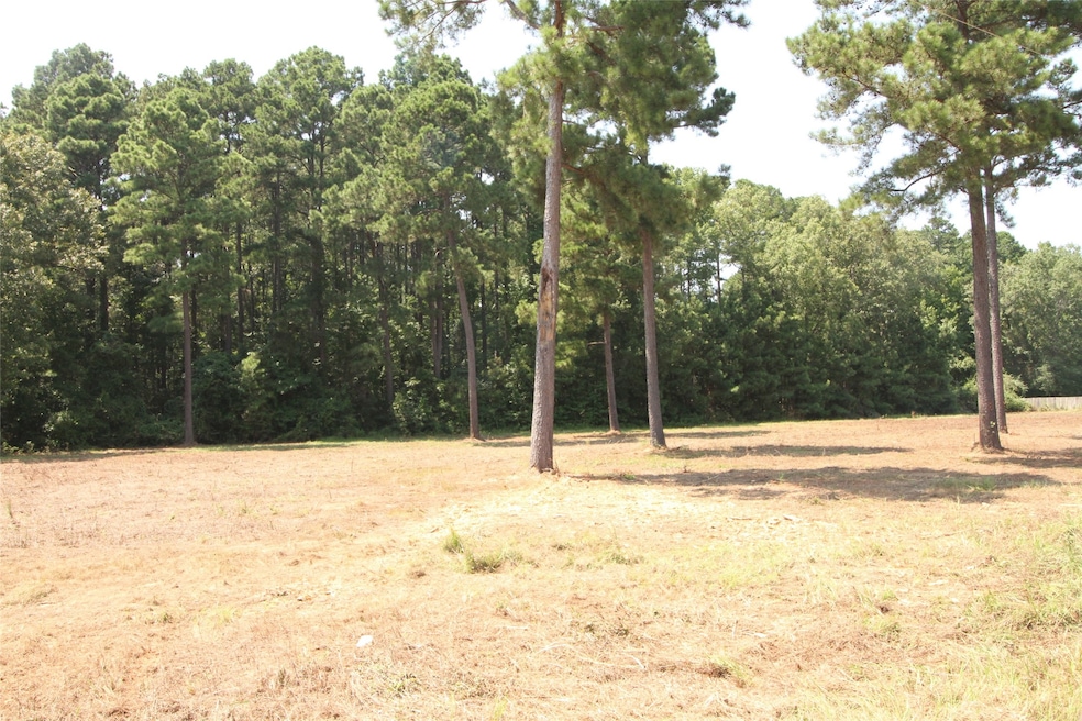 Lot 5 Peaceful Pines Ln, Vivian, LA 71082 - photo 1