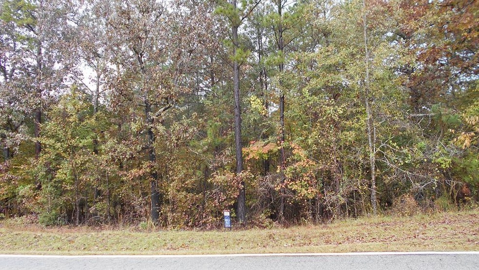 0 Pea Ridge Rd unit 1-E 147534, Juliette, GA 31046 - photo 1