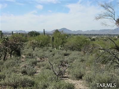 Overlooking Tucson!