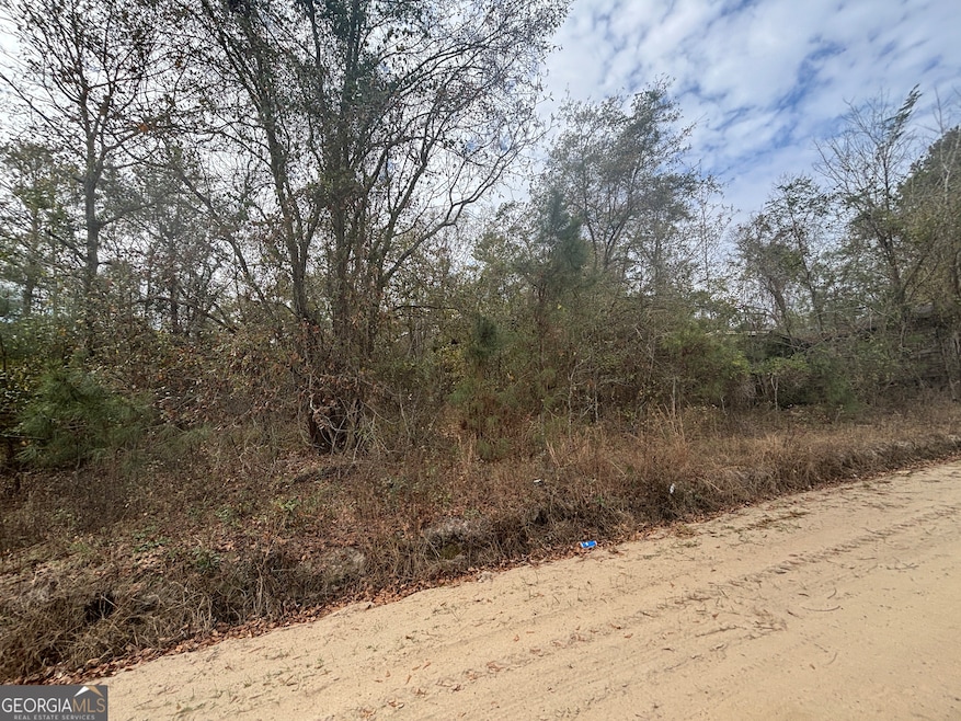 PARCEL A Wiggum Rd & St James Rd, Cochran, GA 31014 - photo 1