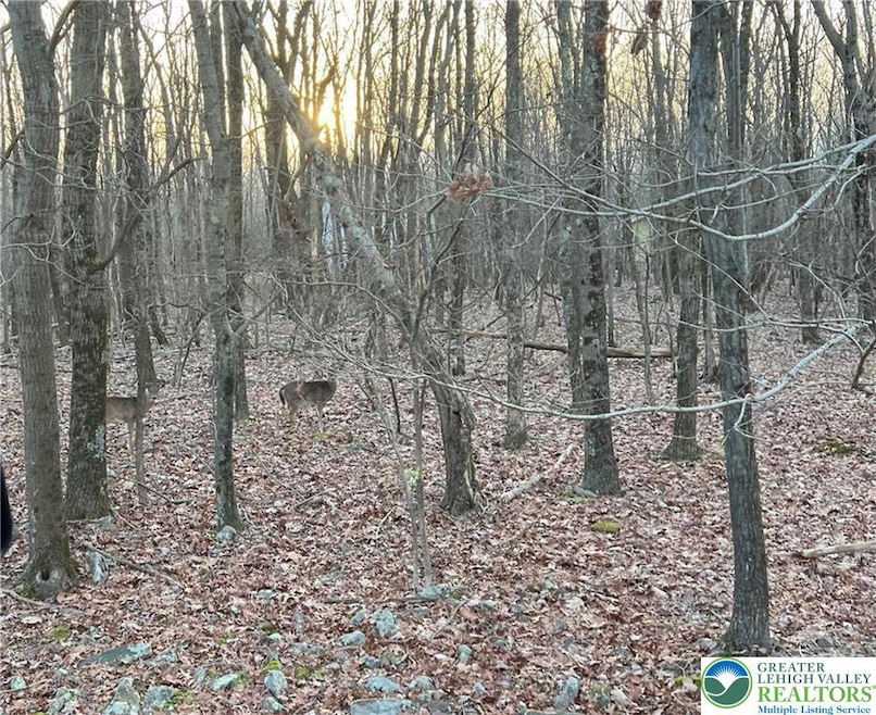 121 Piute Trail unit CP1002, Penn Forest Township, PA 18210 - photo 1