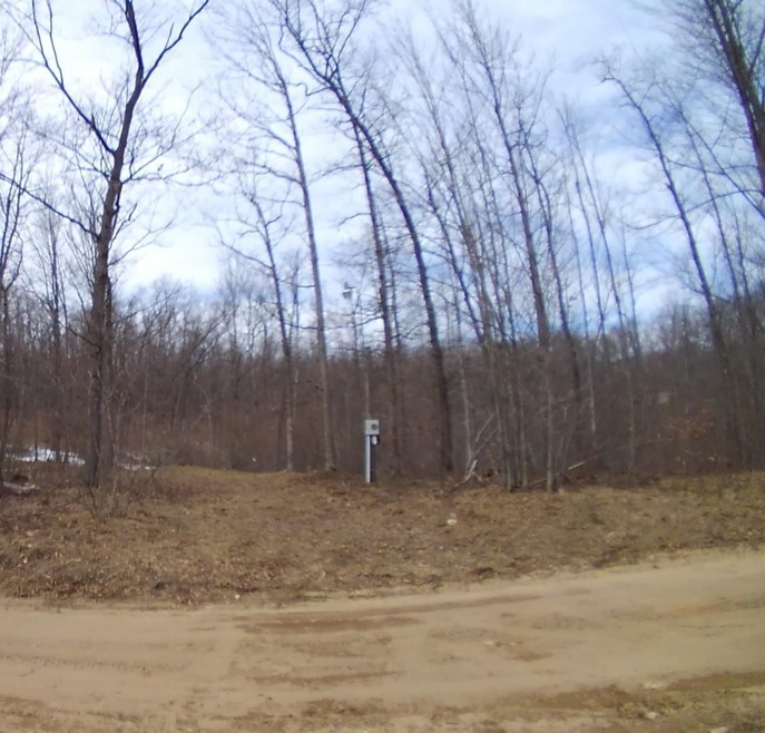 3180 Tice Trail, Lincoln Township, MI 48625 - photo 1