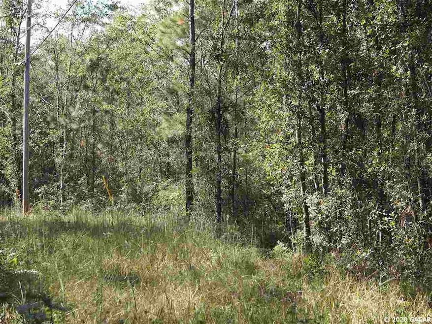 TBD Spring Dr, Middleburg, FL 32068 - photo 1