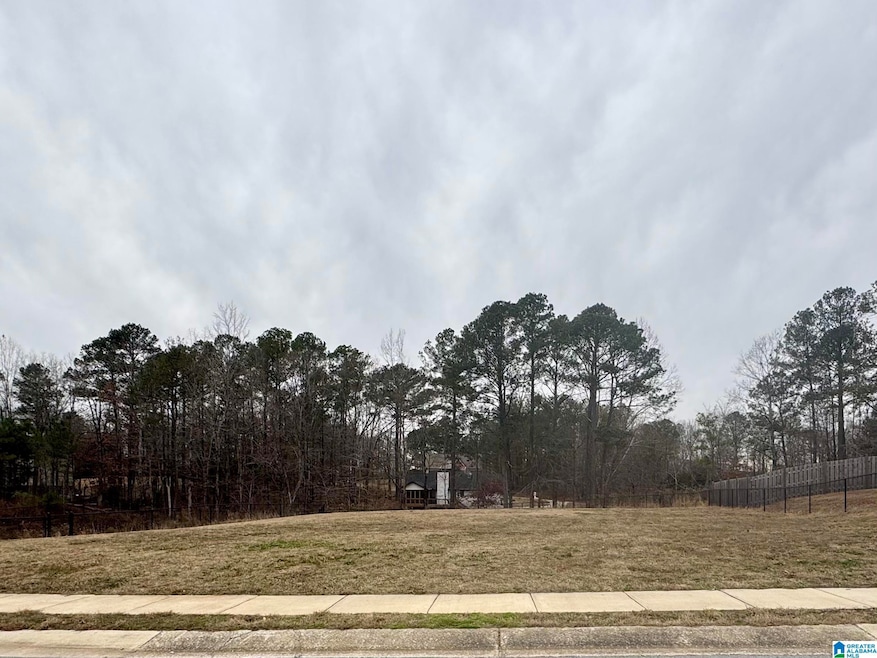 332 Countryside Cir, Calera, AL 35040 - photo 1