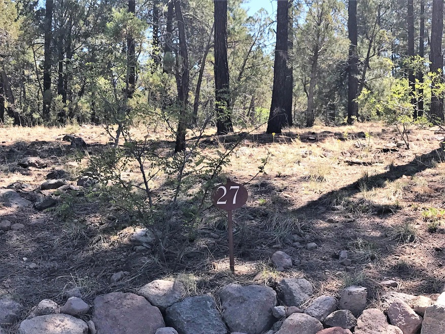 1. Lot 27