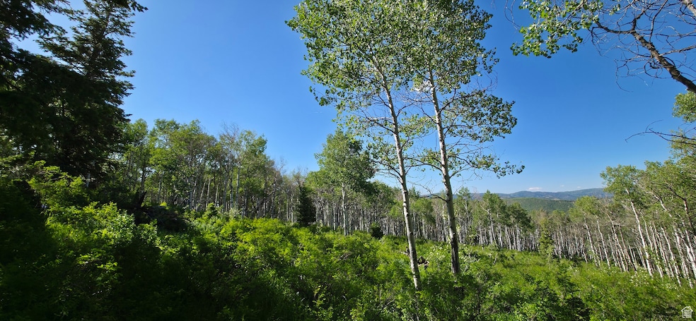 Meadow roughly 200 feet into lot form cul-de-sac