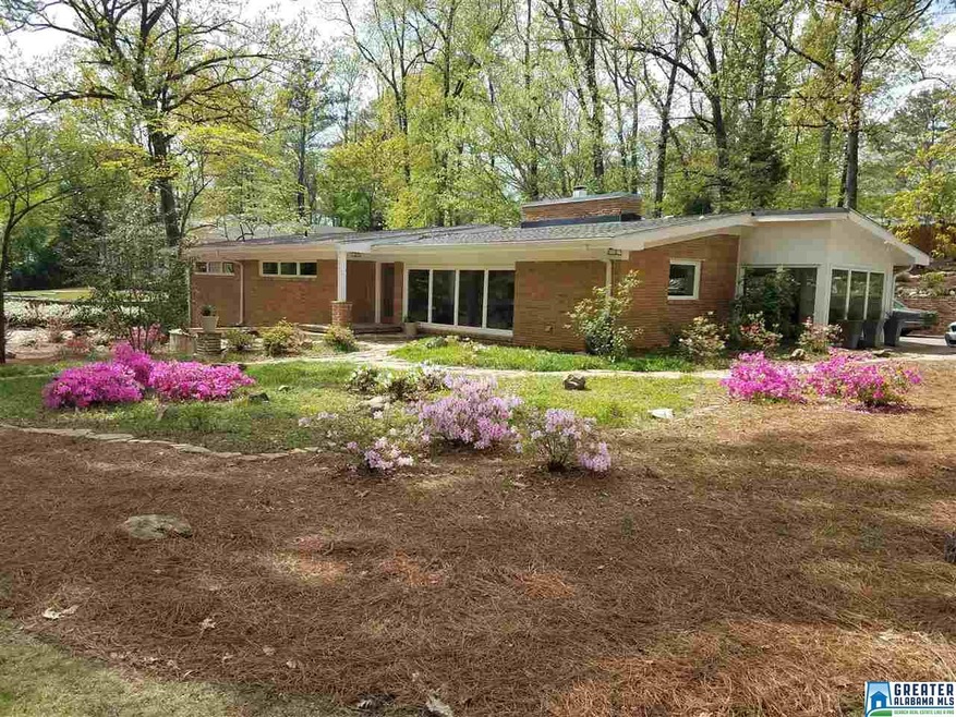 Gorgeous mid century modern on huge lot!