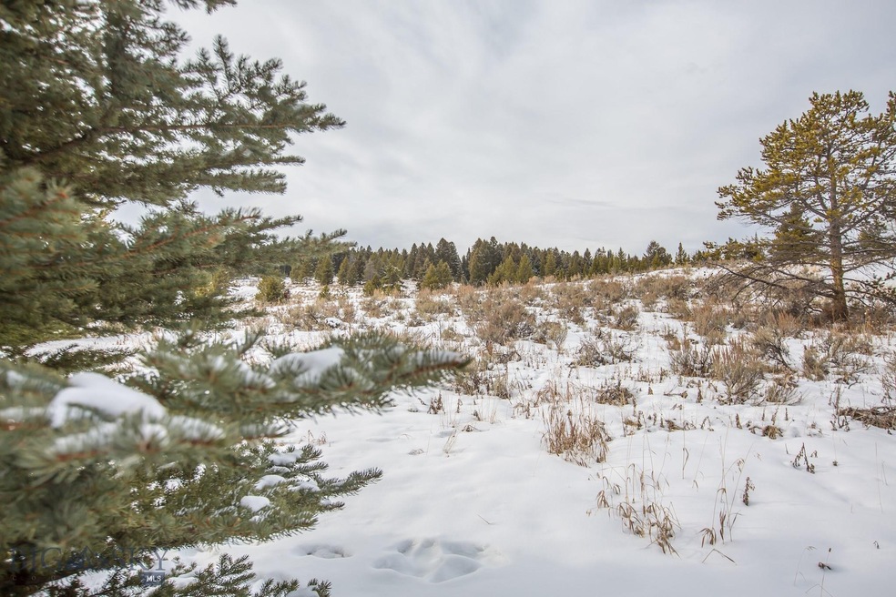 Lot 49 Lone Walker, Big Sky, MT 59716 - photo 1