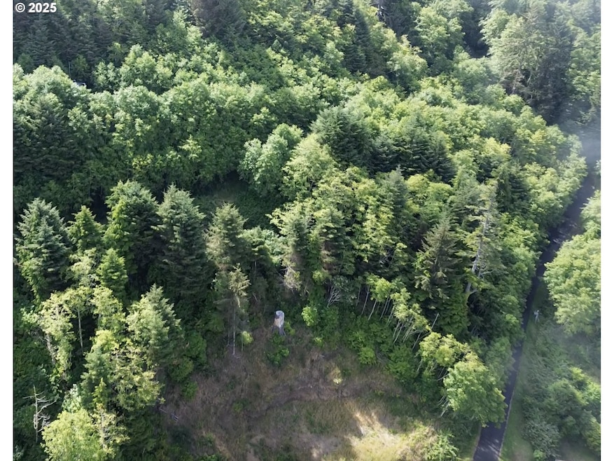 0 Gimlet Ln, Yachats, OR 97498 - photo 1