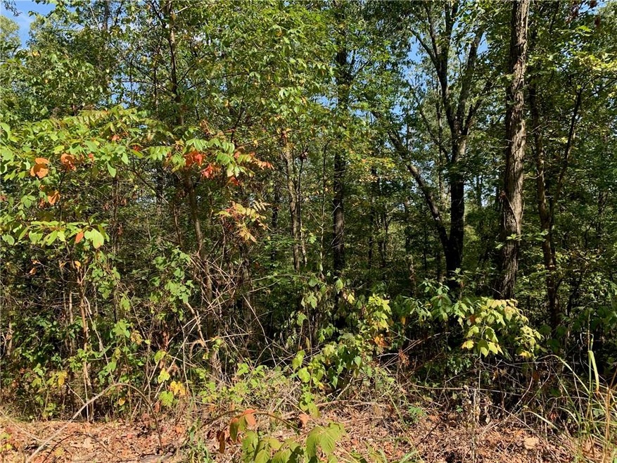 Lot 17 Carmarthen Ln, Bella Vista, AR 72715 - photo 1