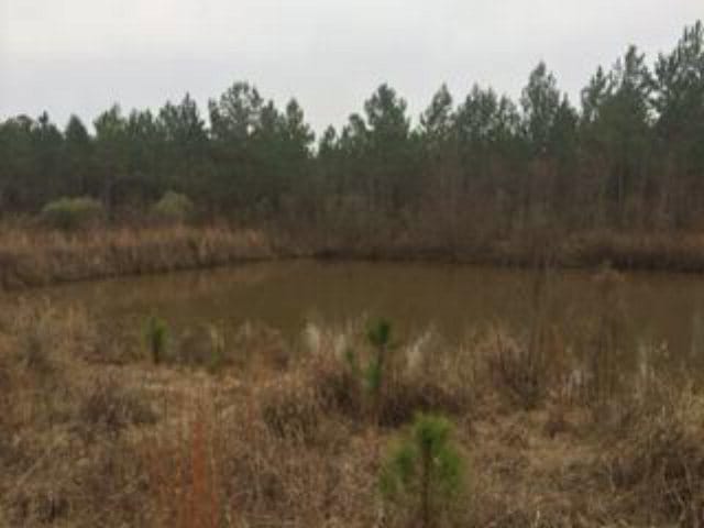 00 S County Line Rd, Sylvester, GA 31791 - photo 1
