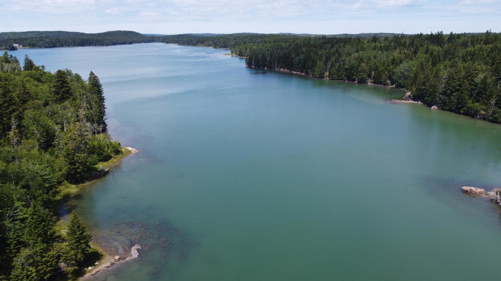 DJI_0576