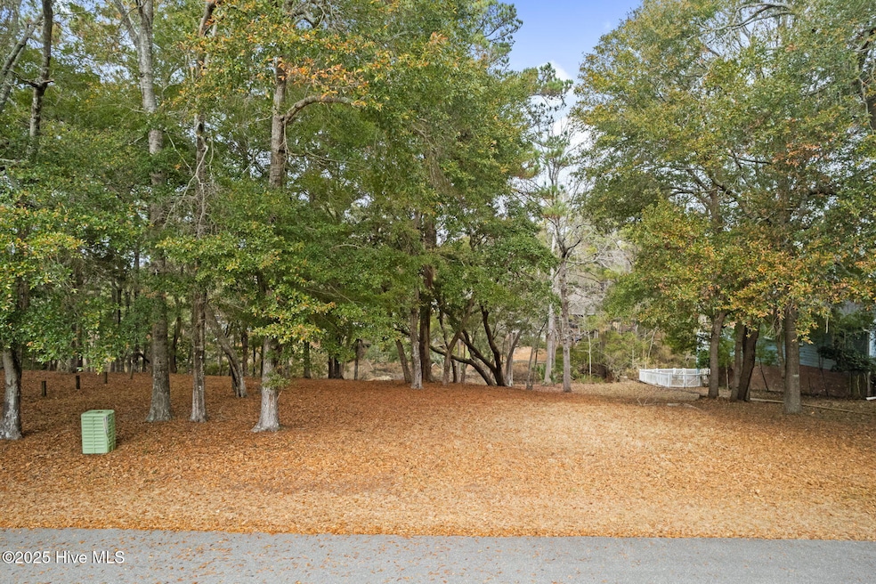 9-web-or-mls-CAMMediaLLC.com (9 of 16)
