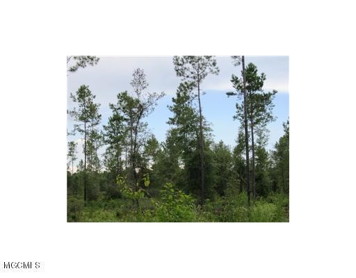 Lot 7 Homestead Rd, Lucedale, MS 39452 - photo 1