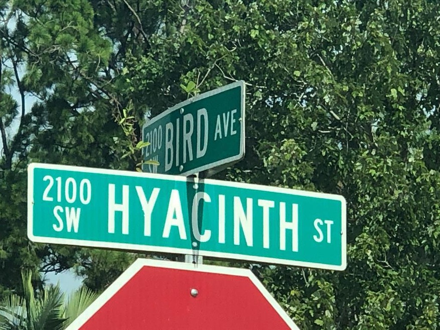 HYACINTH SIGN