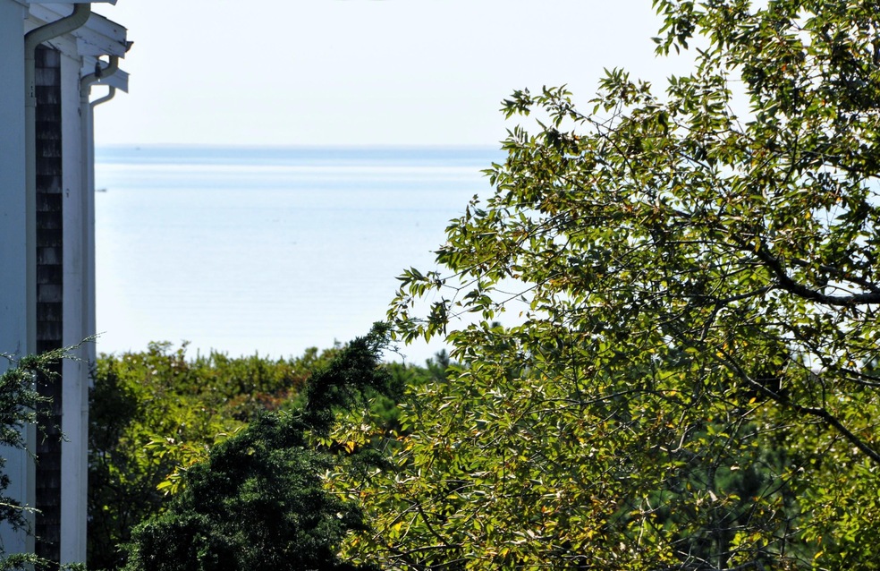 _DSC0776 (3)