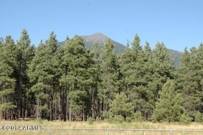 Lot 11