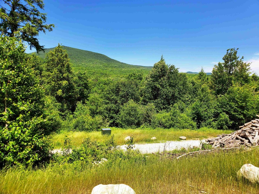3410 Us Route 4 unit Lot 1, Mendon, VT 05701 - photo 1