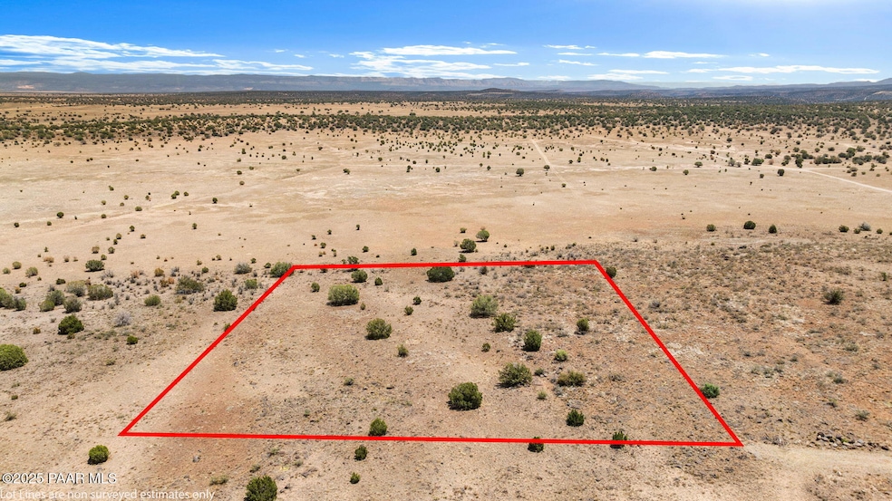 1-Aerial (1) Lot Lines 056