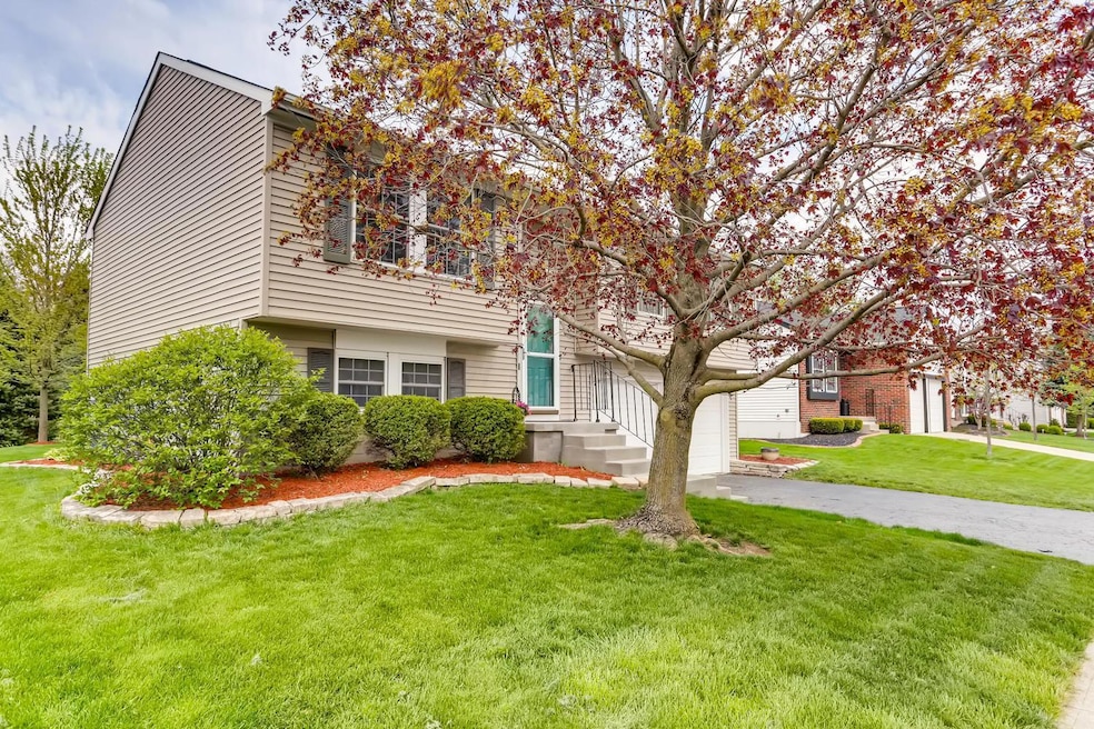 3532 Alfred Court Columbus OH-large-001-