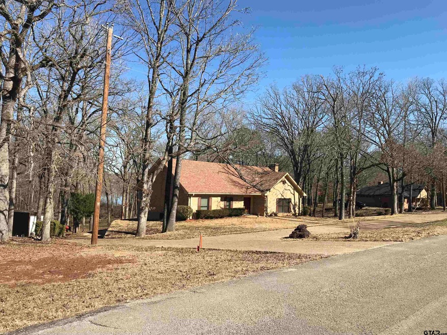 10310 Lakeshore Dr, Tyler, TX 75707 - photo 1