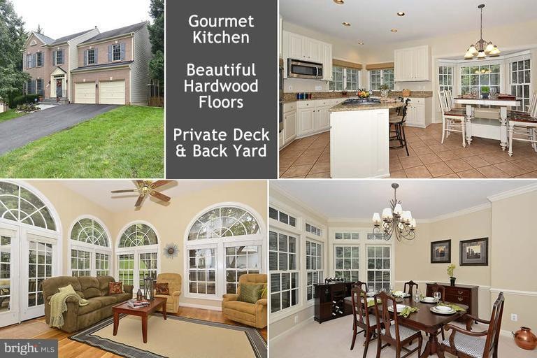 20608 Cutwater Place, Sterling, VA 20165 - photo 1