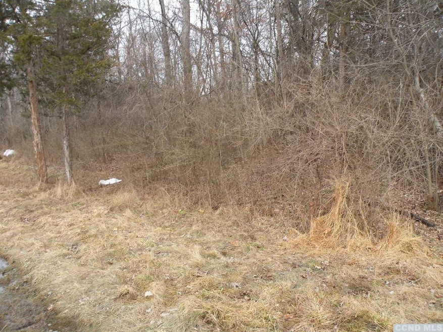 375 Viewmont Rd, Germantown, NY 12526 - photo 1