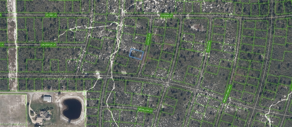 431 Lucille Ln, Lake Placid, FL 33852 - photo 1