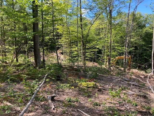 0 Old Carr Rd unit 20 4925108, Antrim, NH 03440 - photo 1