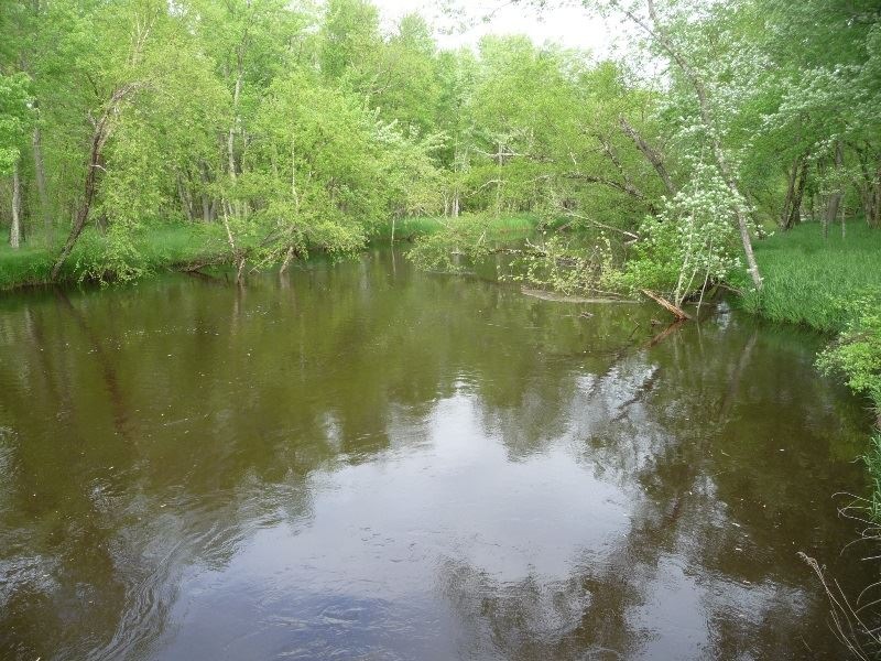 38 Ac 2nd Ave, Cutler, WI 54618 - photo 1