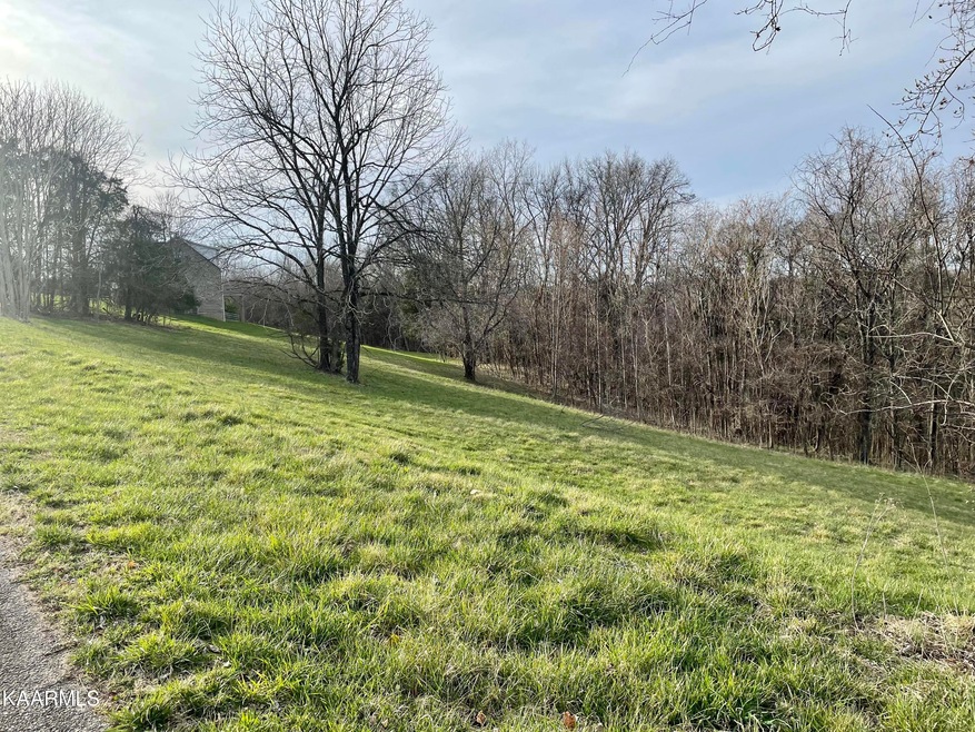 2041 Bear Creek Point, Cookeville, TN 38506 - photo 1