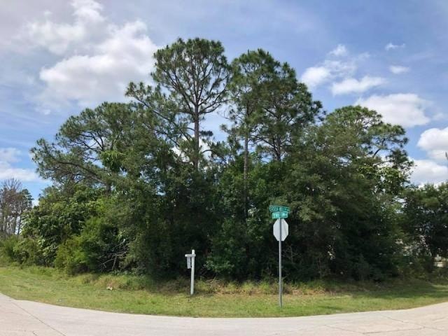 1650 SW Buffum Ln, Port Saint Lucie, FL 34984 - photo 1