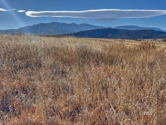 TBD-L309 Morgan, Colorado City, CO 81019 - photo 1