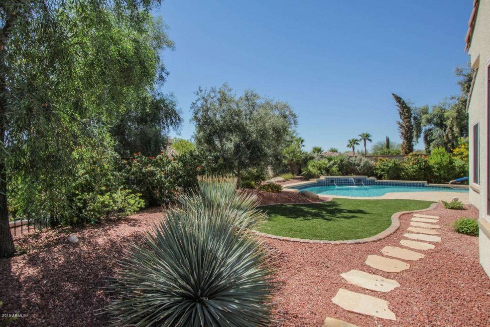Rear Yard