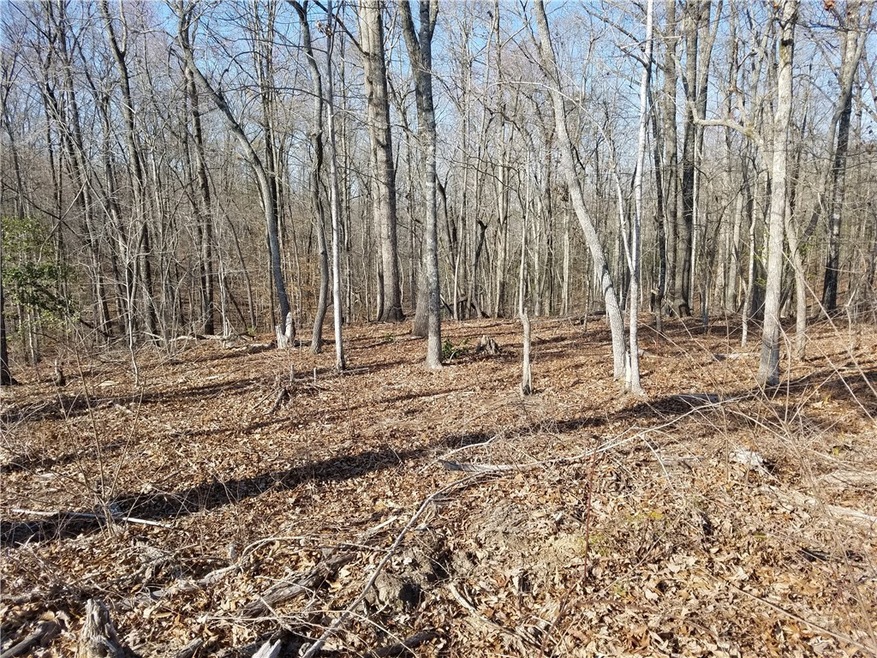 Lot #1 Lecroy Rd, Walhalla, SC 29691 - photo 1