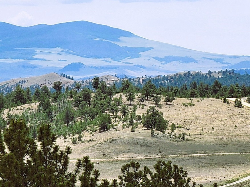 1051 Arapahoe Trail, Hartsel, CO 80449 - photo 1