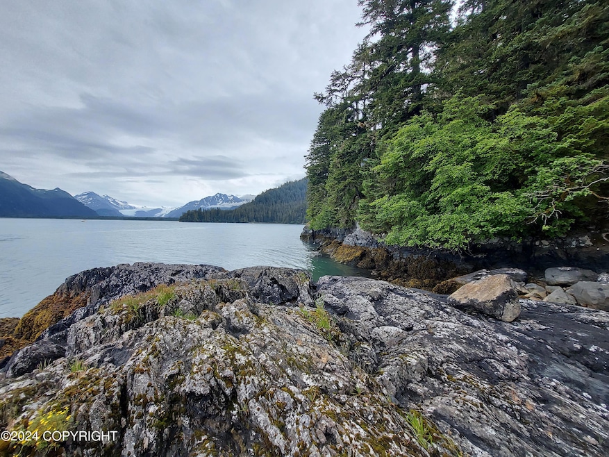 Tract B Asls 86-175 Day Harbor, Seward, AK 99664 - photo 1