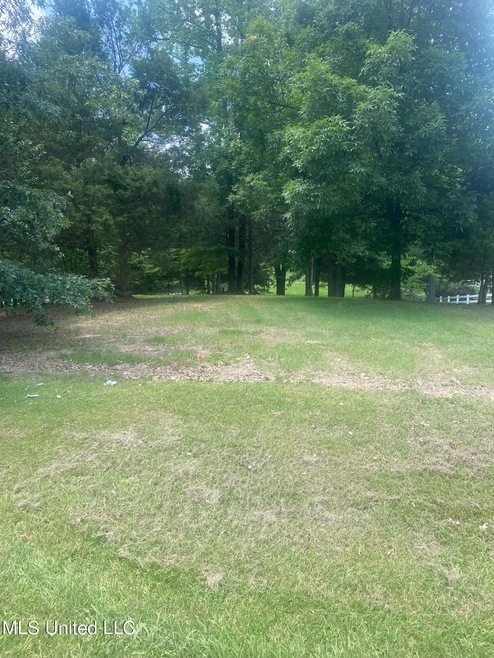 View of lot